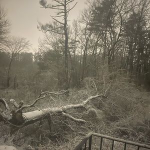 Meet your Posher, Emmanuel